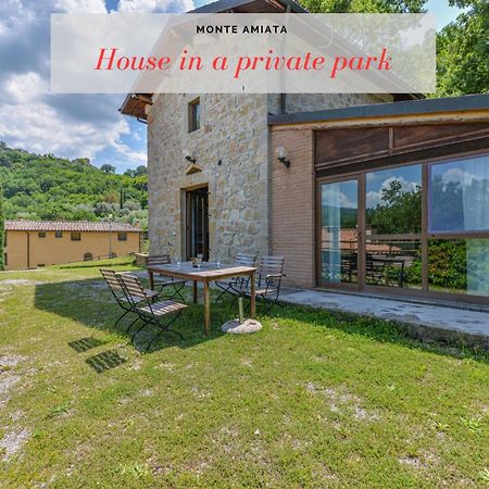 3 Charming Private Home With Pool, Bbq, Wi-Fi & Free Parking Castel del Piano (Tuscany) Exterior foto